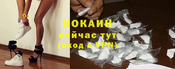 гашик Липки