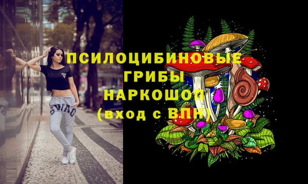 стаф Лихославль