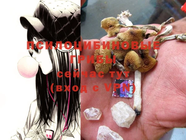 mdma Лабытнанги