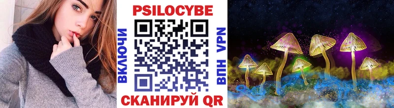 Галлюциногенные грибы Cubensis цены наркотик кракен как войти Шацк